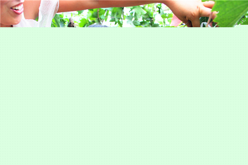 W(wng)89Ӎ  8tS{(ln)Hӈ@23λؐڼL(zhng)HώĎI(lng)ֵҰr(nng)fժѡؐ՚µҰͬw\ӵСBڏV韵ggЦ昷M(jn)T۵ѴڼL(zhng)ָ(do)ժLѣ^һηǳ옷ĕr(sh)⡣