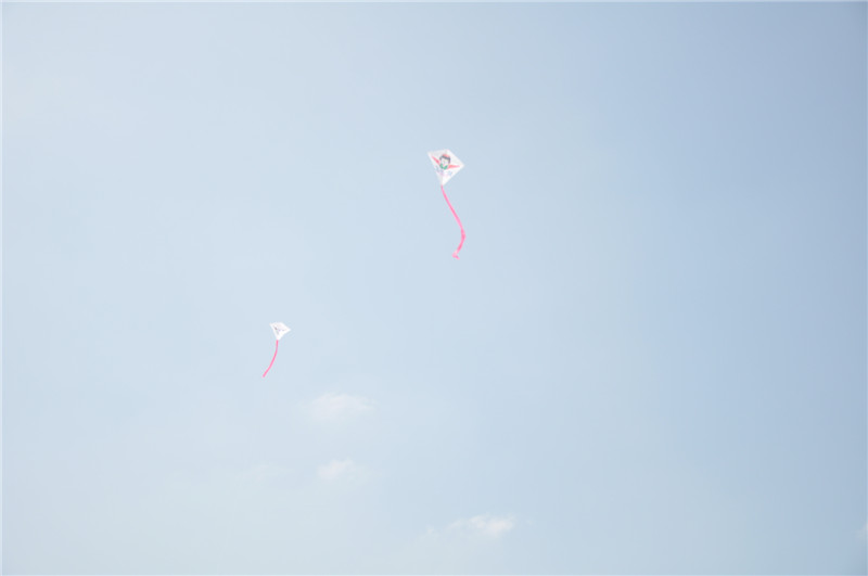 L~ԽwԽߣԽԽС